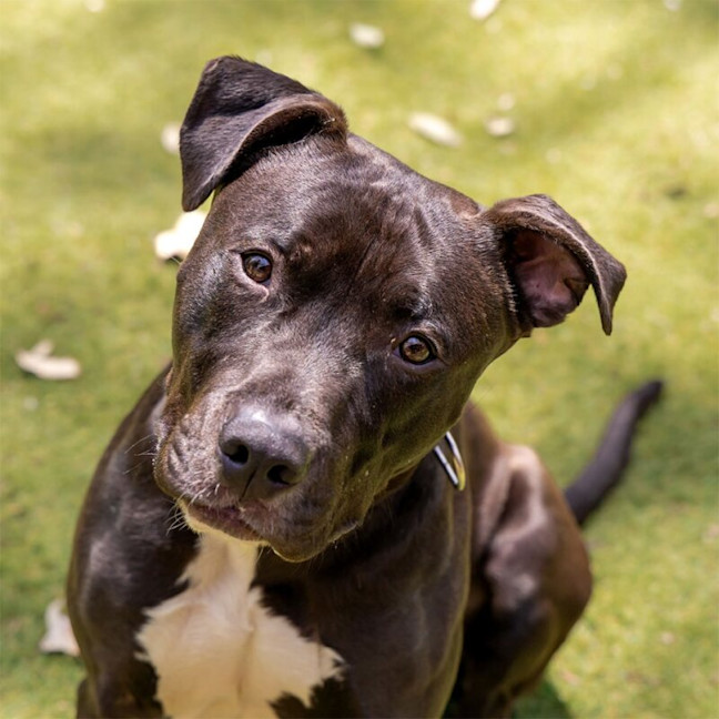 Photo of Jamal