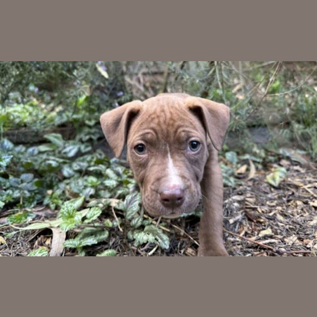 Photo of Molly
