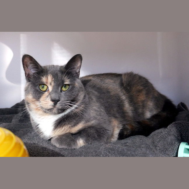 Photo of Stormy Rsuk013730