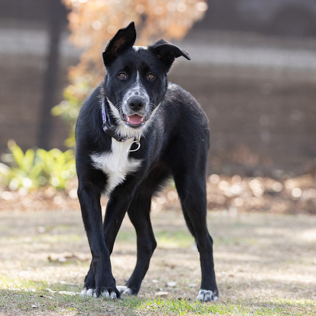 Photo of Murphy