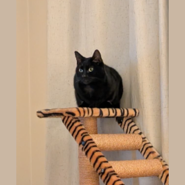 Photo of Lucy
