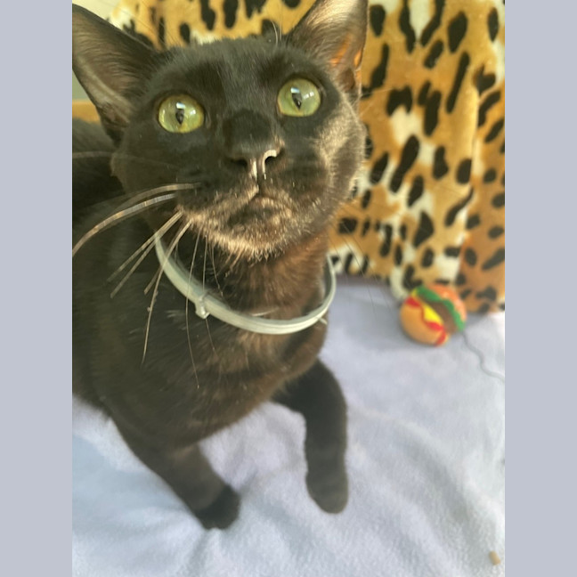 Photo of Roland (0157)