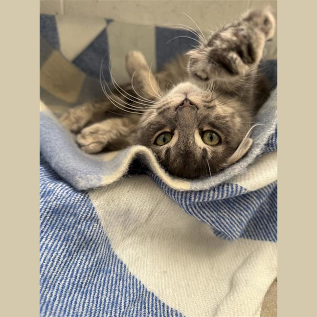 Photo of Sailor