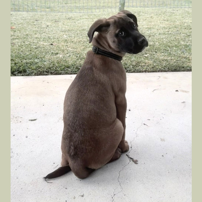 Photo of Maxie