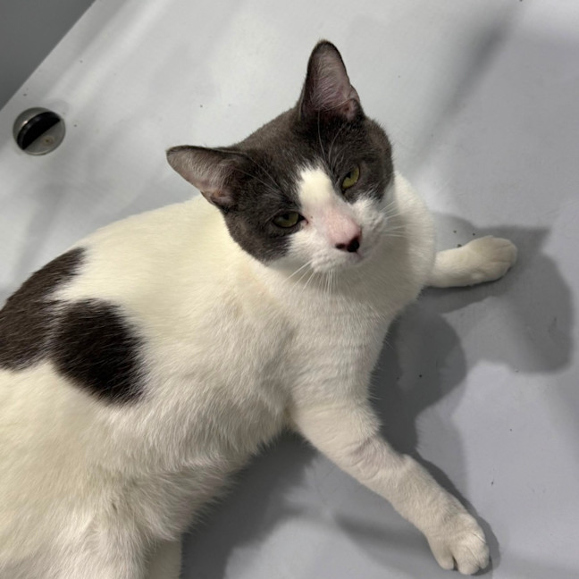 Photo of Pablo 🌟🌴