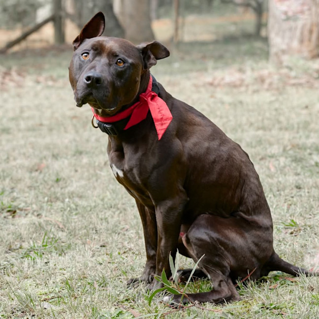 Photo of Azzie