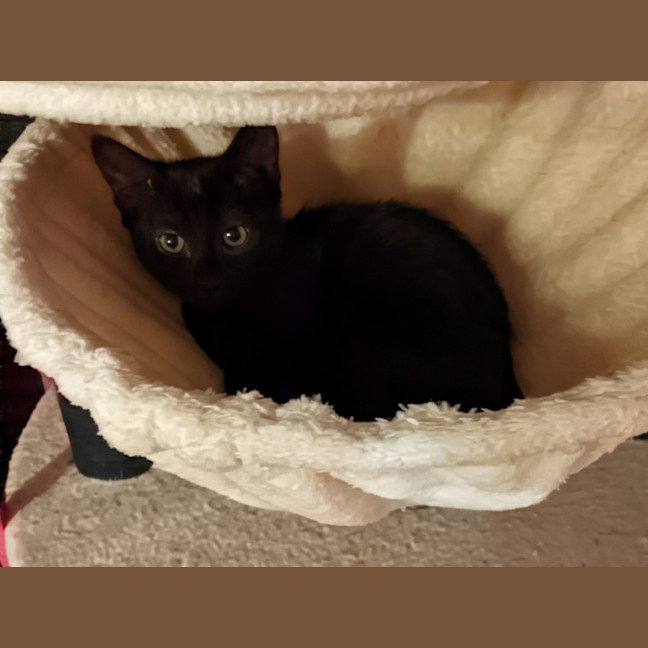 Photo of Lou Lou