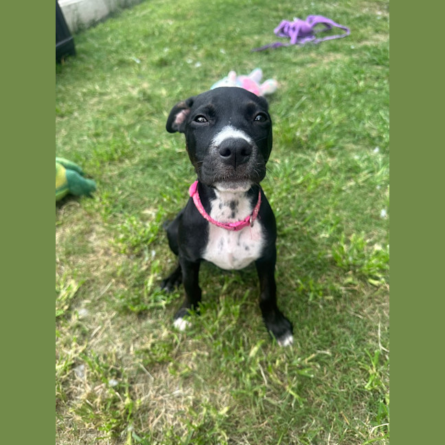 Photo of Lexy