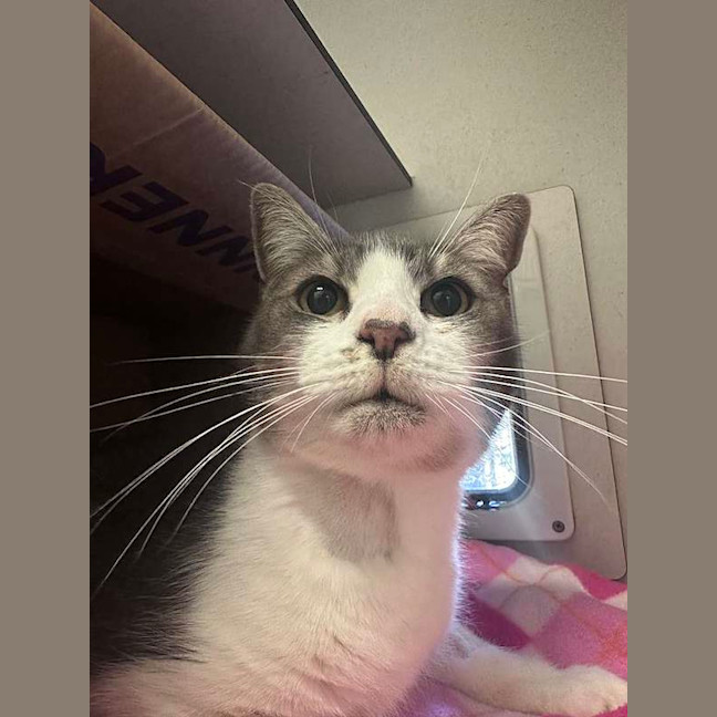 Photo of Bubbah