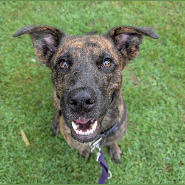 Photo of Caramel