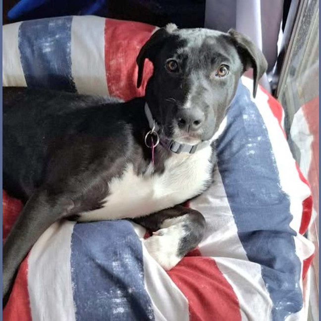 Photo of Chloe