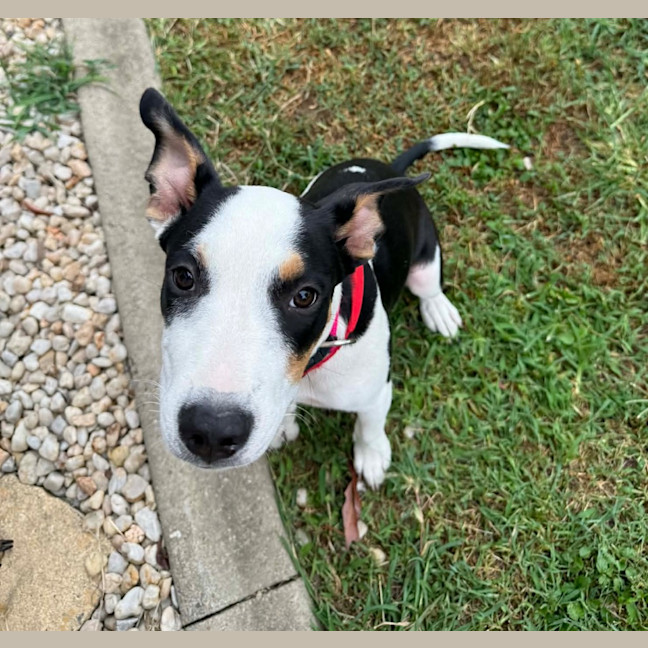 Photo of Esmae (P14)