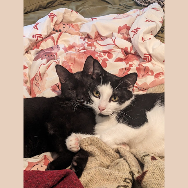 Photo of Lucky And Sosage