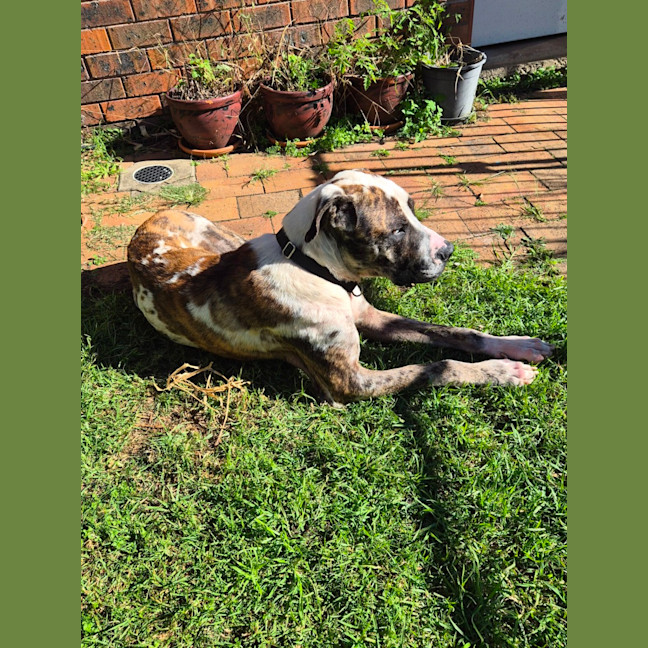 Photo of Hercules