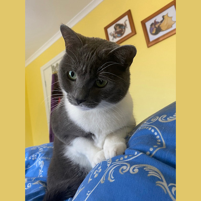 Photo of Lulu