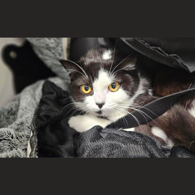 Photo of Winnie