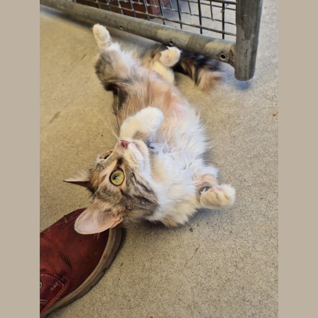 Photo of Maree! 🎀