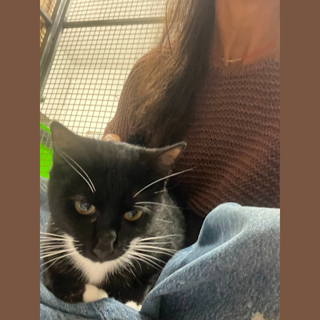 Photo of Wendy