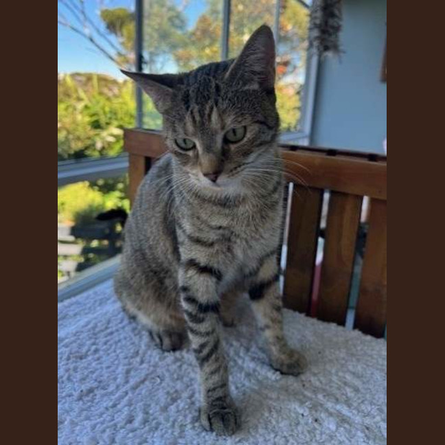 Photo of Angel