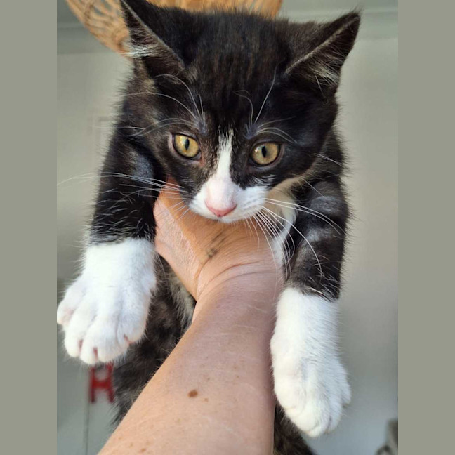 Photo of Bobbi