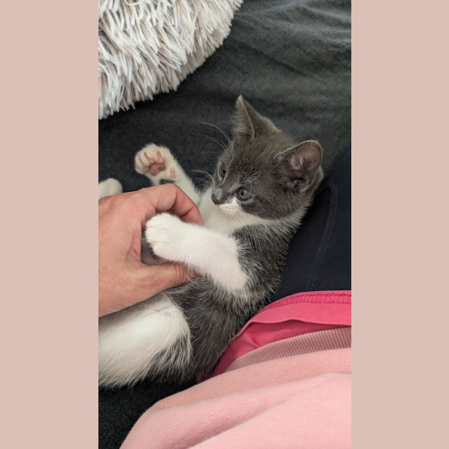 Photo of Gigi