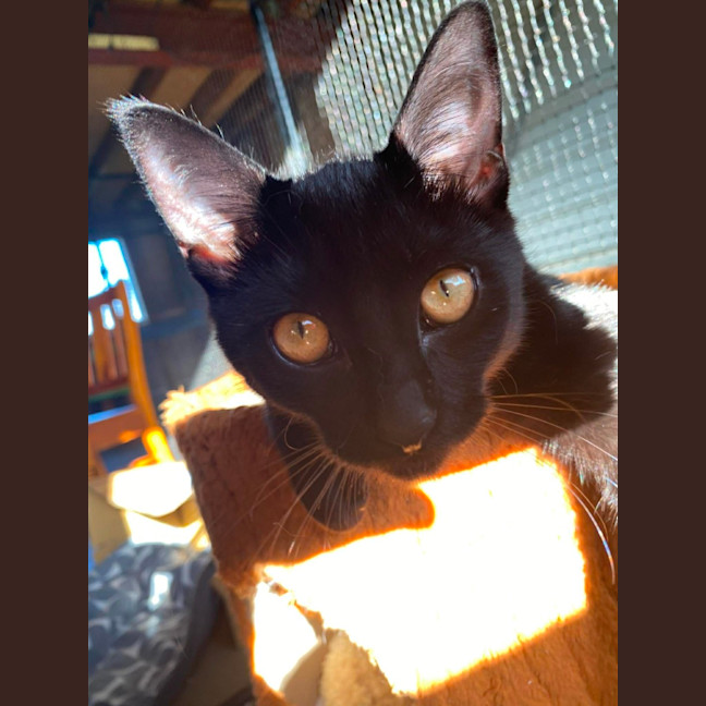 Photo of Mini