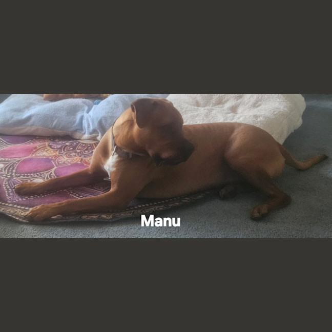 Photo of Manu