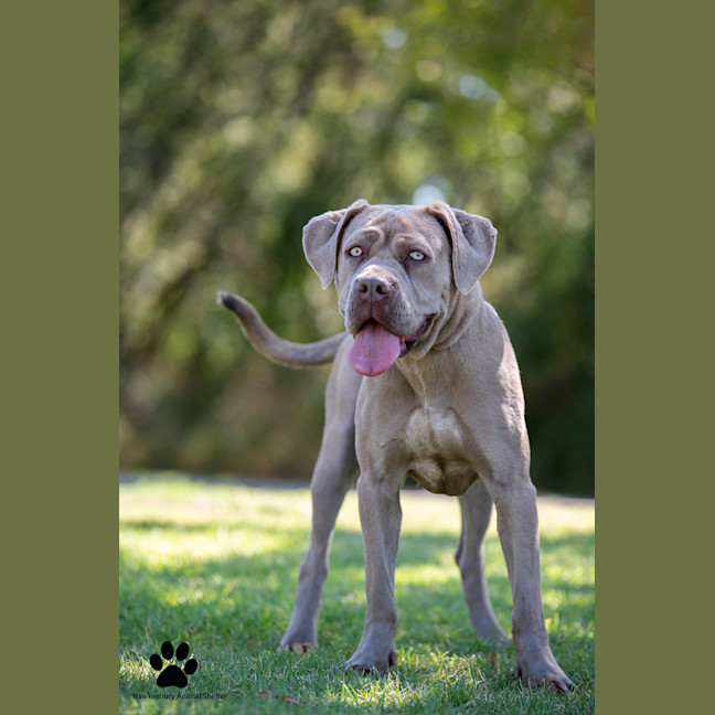 Photo of Sienna