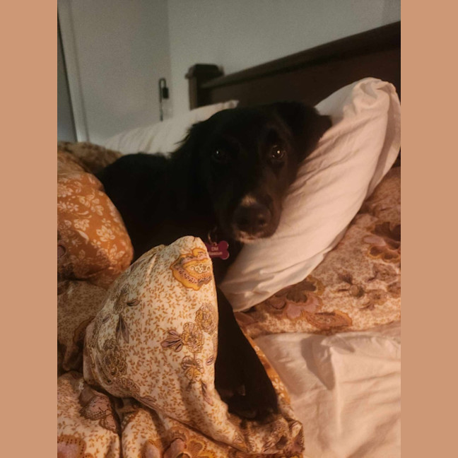 Photo of Lilly