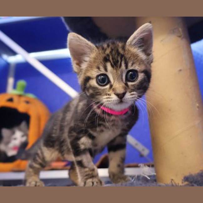 Photo of Princess