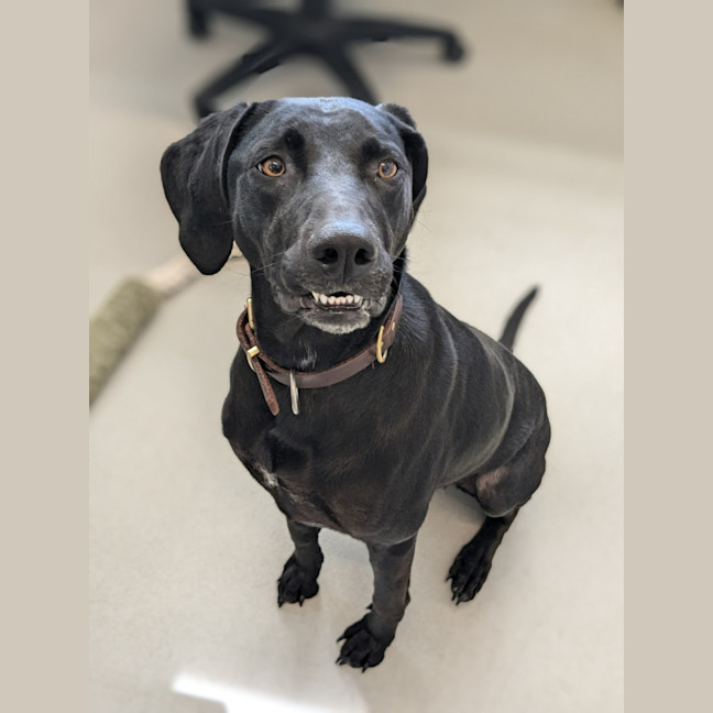 Photo of 🍁 Lucy 5575 🍁