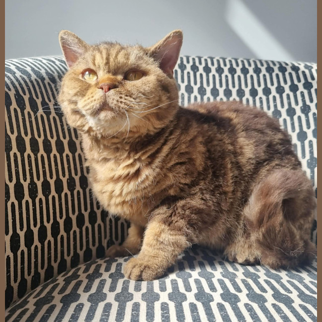 Photo of 🥜Carmen🥜