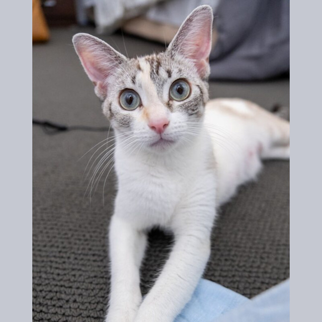 Photo of Hazel