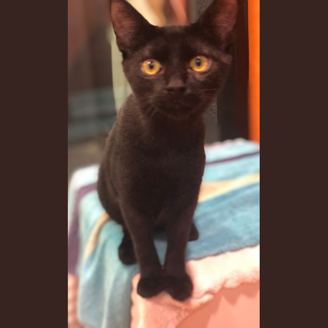 Photo of Wednesday