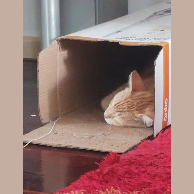 Photo of Jasper
