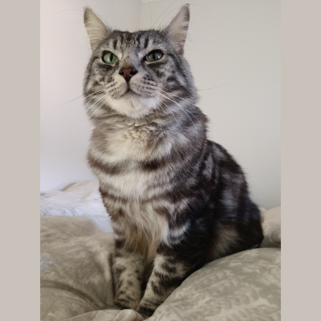 Photo of Gideon