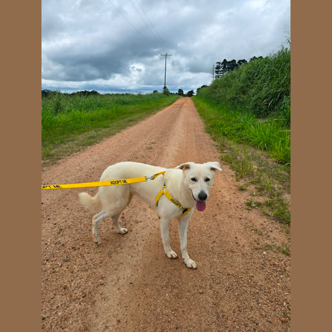Photo of Freyja