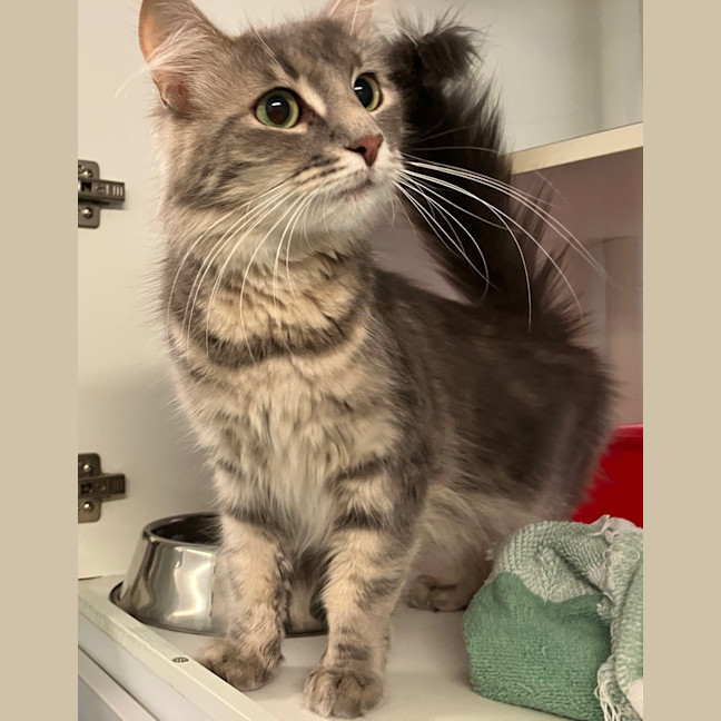 Photo of Sasha