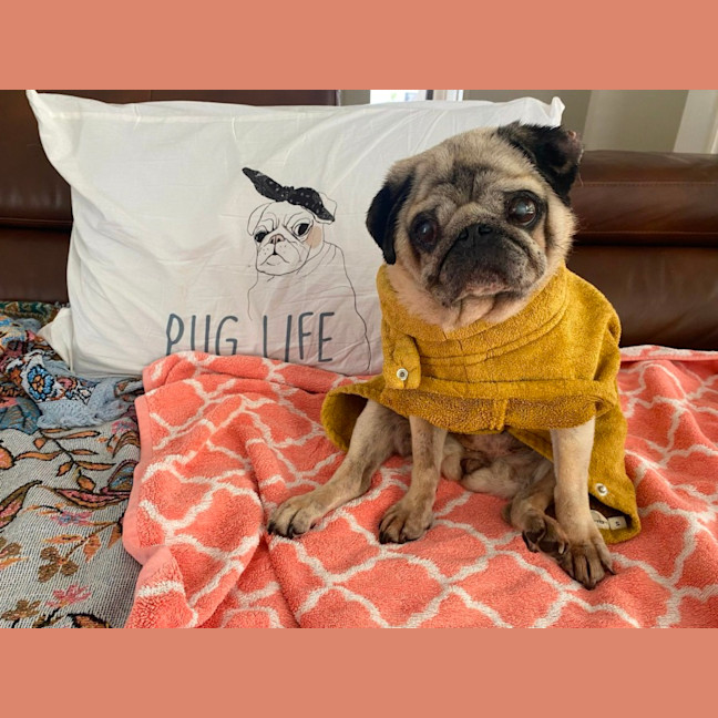 Photo of Blossom 🌸