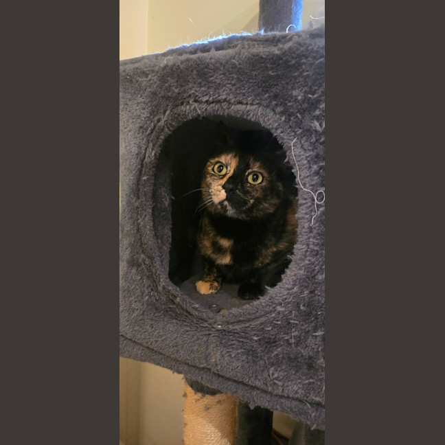 Photo of Emmy