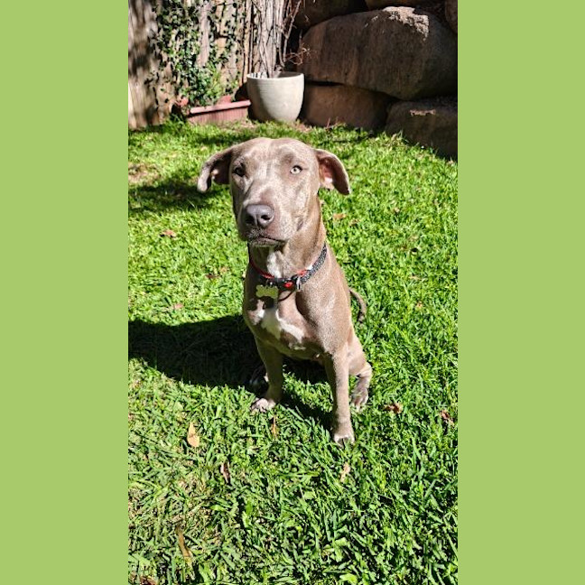 Photo of Sasha