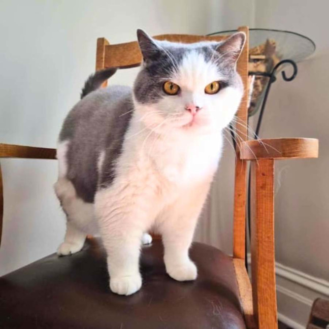 Photo of 🍑Jorgi🍑