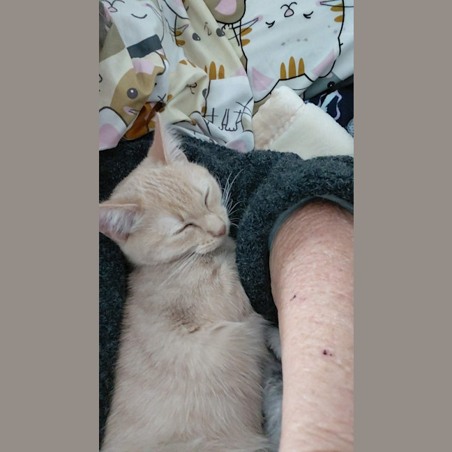 Photo of Molly