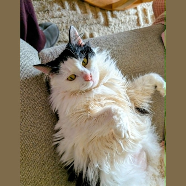 Photo of Maggie Moo