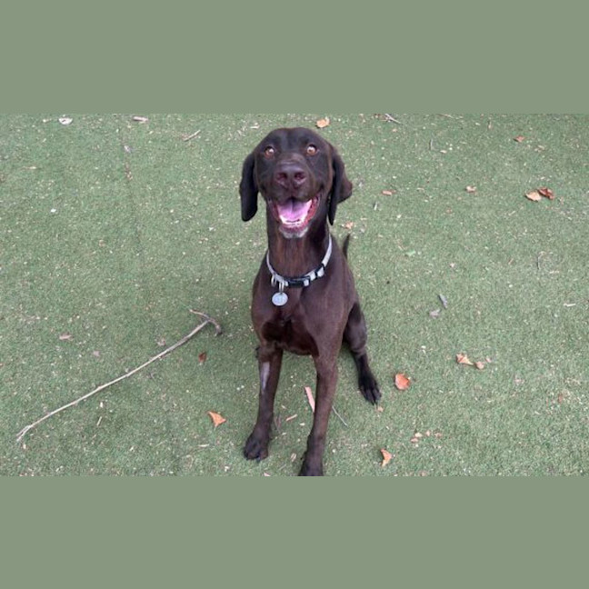 Photo of Hunter	