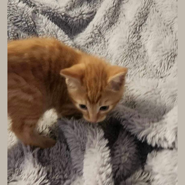 Photo of Miss Garfield 