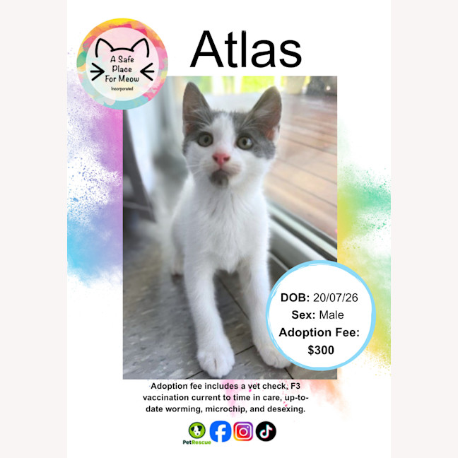 Photo of Atlas