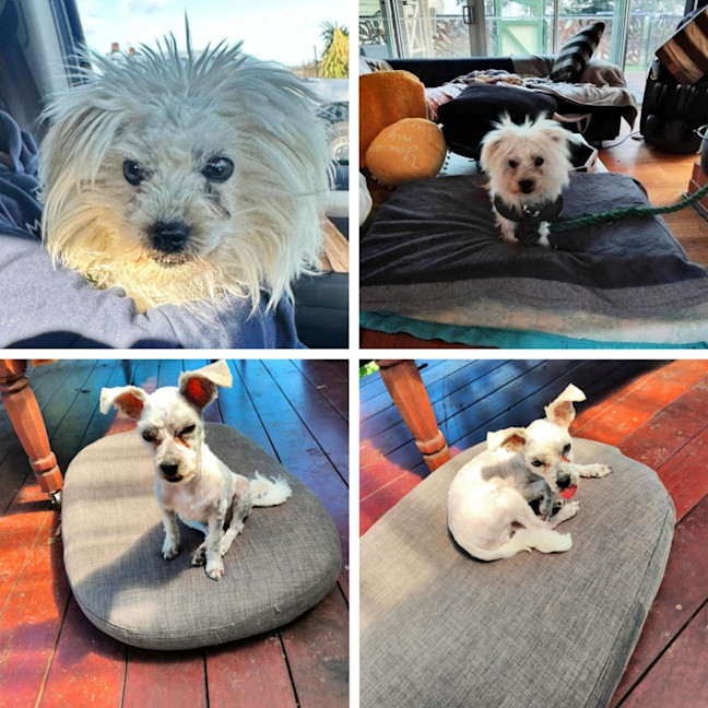 Photo of Doohickey