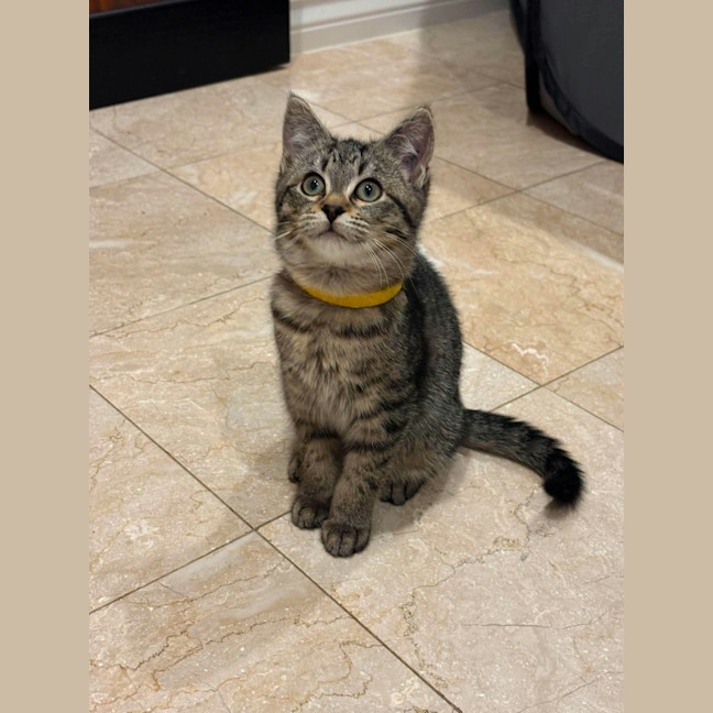Photo of Otis