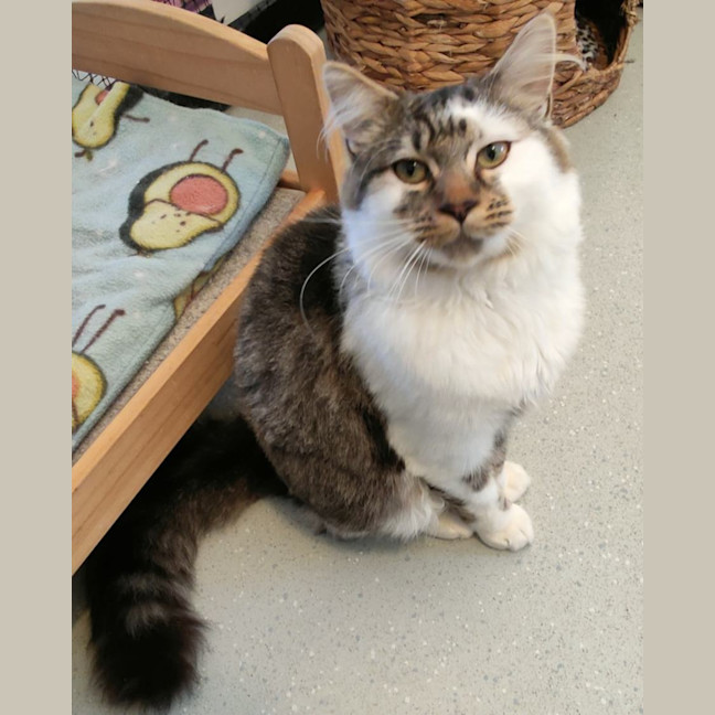 Photo of Sprout